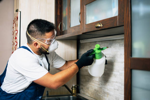 Professional Pest Control in Clemson, SC