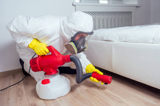Best Bed Bug Extermination  in Clemson, SC