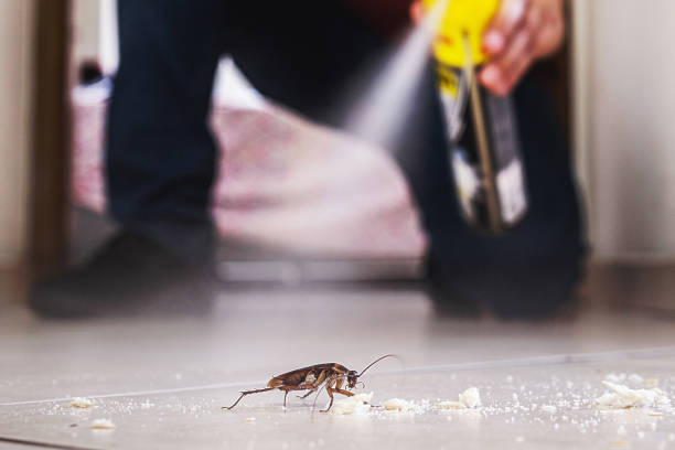 Best Best Pest Control Companies  in Clemson, SC