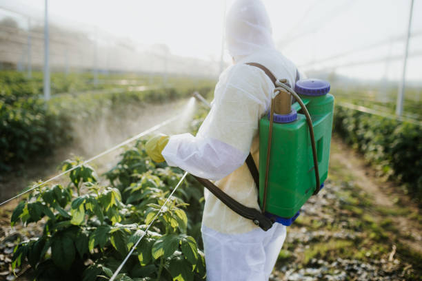 Best Emergency Pest Control  in Clemson, SC